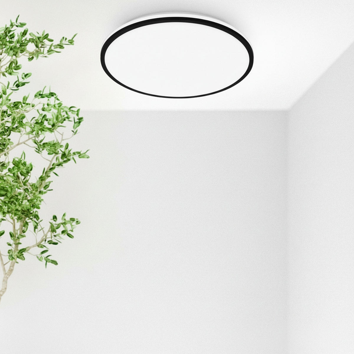 LED-DECKENLEUCHTE Pulap A 33/6 cm   - Schwarz, Basics, Kunststoff (33/6cm) - Briloner