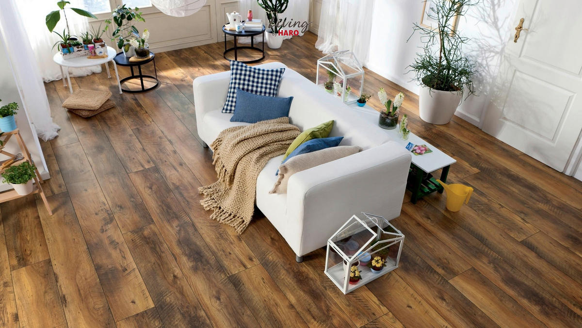 LAMINATBODEN  per  m² - Eichefarben/Dunkelbraun, Natur, Holzwerkstoff (220/24,3/0,8cm) - Living by HARO