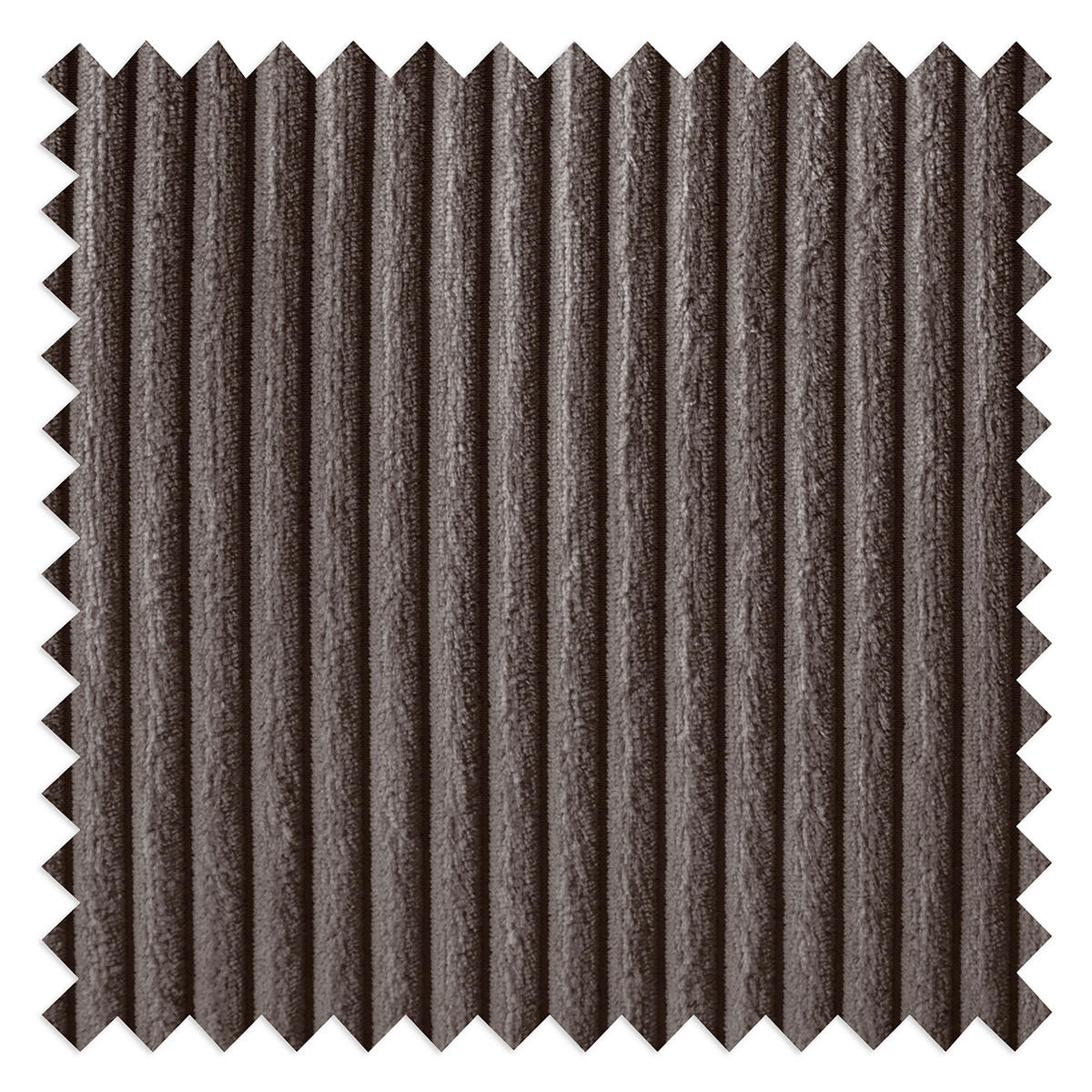 2,5-SITZER  in Cord Taupe Modern  - Taupe/Schwarz, Design, Textil/Metall (168/85/92cm) - Livetastic