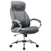 DIREKTORSKA STOLICA  siva, boja hroma   - boja hroma/siva, Konvencionalno, metal/tekstil (68/117-126/70cm) - Cantus
