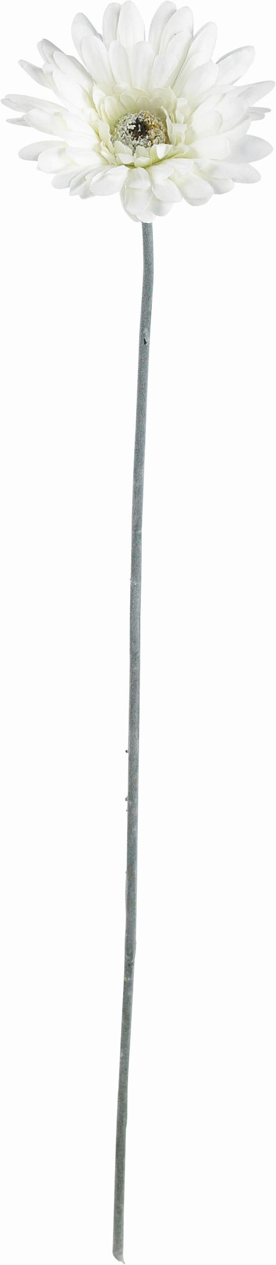 UMĚLÁ KVĚTINA gerbera 56 cm - zelená/krémová, Basics, textil/plast (56cm)