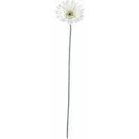 UMĚLÁ KVĚTINA gerbera 56 cm - zelená/krémová, Basics, textil/plast (56cm)