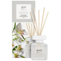 DIFFUSER 50 ml   - Basics, Glas (50ml) - Ipuro