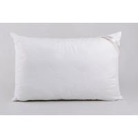 VANKÚŠ POD HLAVU, 70/90 cm - Basics (70/90cm) - Sleeptex