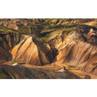 VLIESTAPETE  - Natur (400/250cm) - Komar