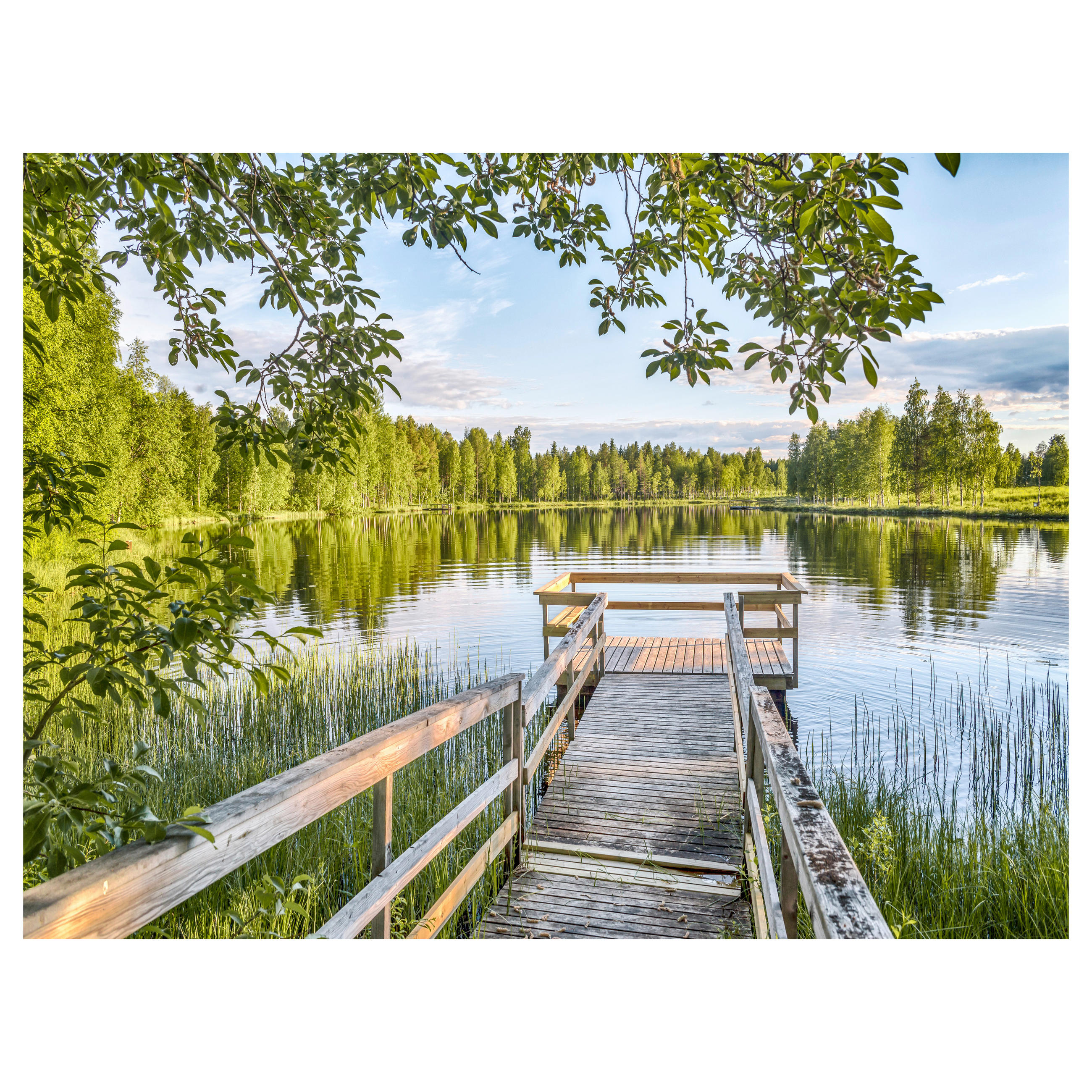STEKLENA SLIKA  120/80 cm   - večbarvno, Basics, steklo (120/80cm) - Monee