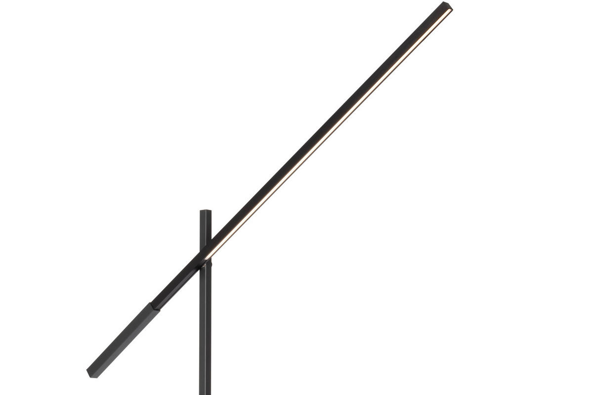 LED-STEHLEUCHTE 27-150/19/162-248 cm    - Schwarz, Design, Metall (27-150/19/162-248cm) - Dieter Knoll