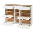 SCHUHSCHRANK 148/103/38 cm - Silberfarben/Schwarz, Design, Holzwerkstoff/Kunststoff (148/103/38cm) - Xora