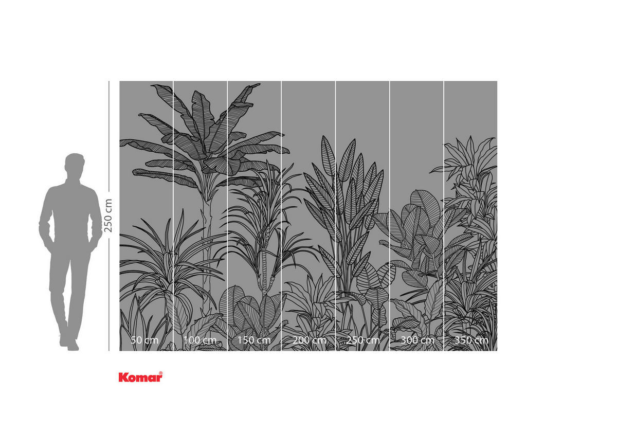 VLIESTAPETE  - Schwarz/Weiß, Basics (350/250cm) - Xora