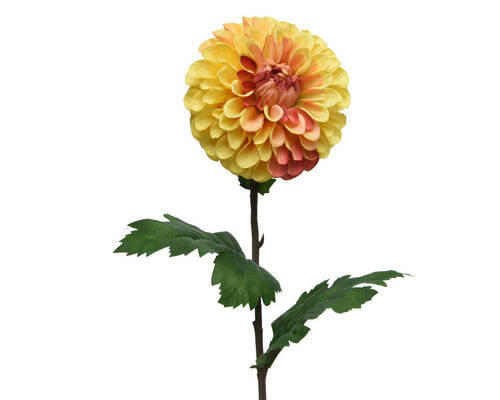FLOARE DECORATIVĂ - Basics (10/75cm)