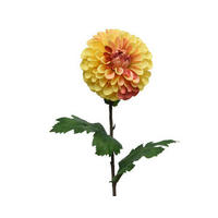 FLOARE DECORATIVĂ - Basics (10/75cm)