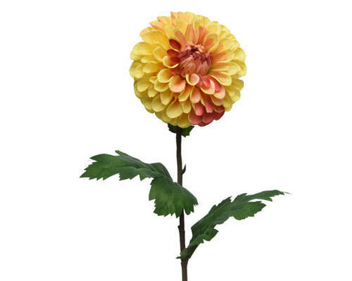 FLOARE DECORATIVĂ - Basics (10/75cm)