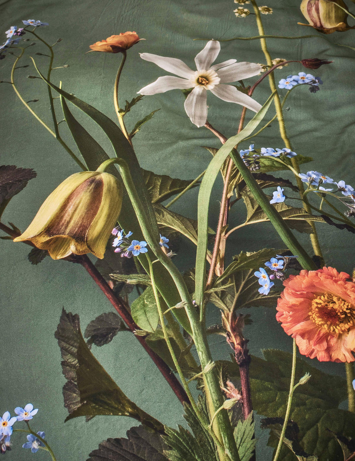 POSTELJNINA   200/200 cm       - zelena, Konvencionalno, tekstil (200/200cm) - Essenza