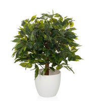KUNSTPFLANZE Ficus Benjamina  - Braun/Weiß, MODERN, Kunststoff (40/65/40cm) - MID.YOU