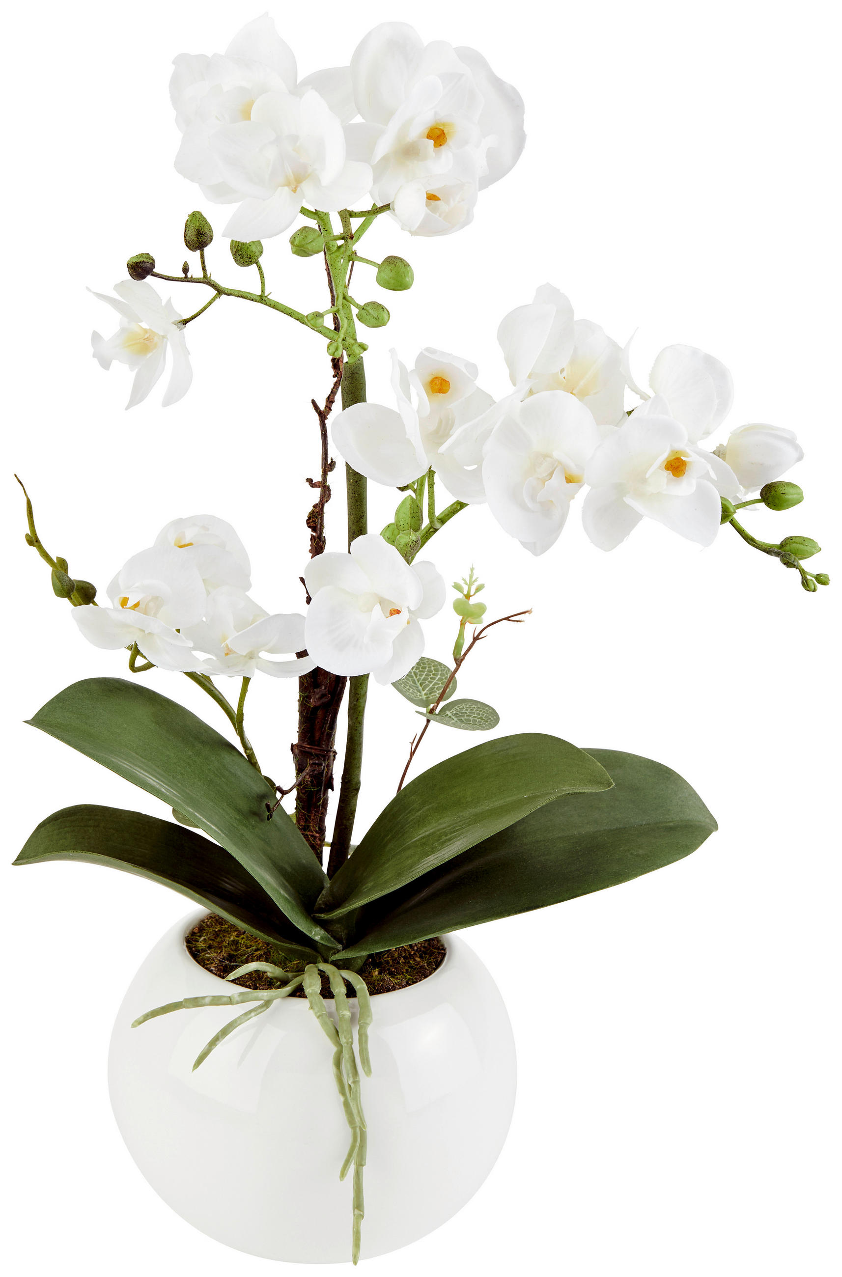 Kunstpflanze Orchidee Weiß/Grün L: 23 cm mit Topf
