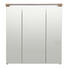 SPIEGELSCHRANK 70/74/20 cm - Eichefarben, Design, Glas/Holzwerkstoff (70/74/20cm) - Xora SPIEGELSCHRANK 70/74/20 cm - Eichefarben, Design, Glas/Holzwerkstoff (70/74/20cm) - Xora