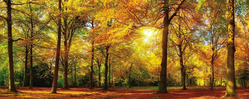 Glasbild Landschaft Natur Jetzt Nur Online Xxxlutz