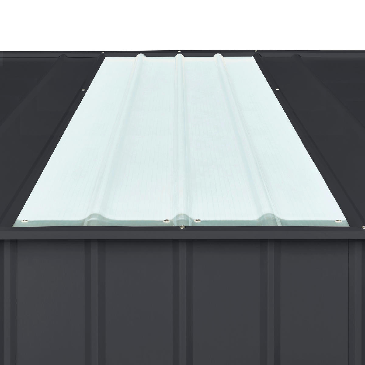 FENSTERLICHTPANEEL  - Transparent, Basics, Kunststoff (65,5/155cm)
