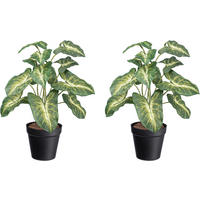 KUNSTPFLANZE 38 cm  - Gelb/Schwarz, Design, Kunststoff (38cm) - P & B