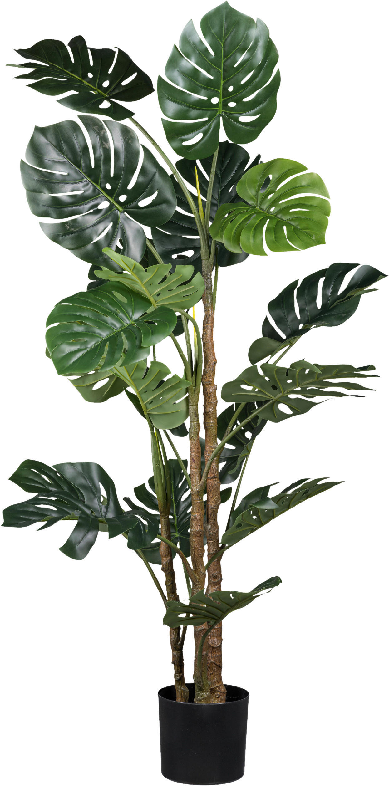 KUNSTPFLANZE Split Philodendron 160 cm  - Schwarz/Braun, Basics, Kunststoff (160cm)