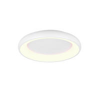 STROPNÉ LED SVIETIDLO, 62/10 cm  - biela, Design, kov (62/10cm) - Trio Leuchten