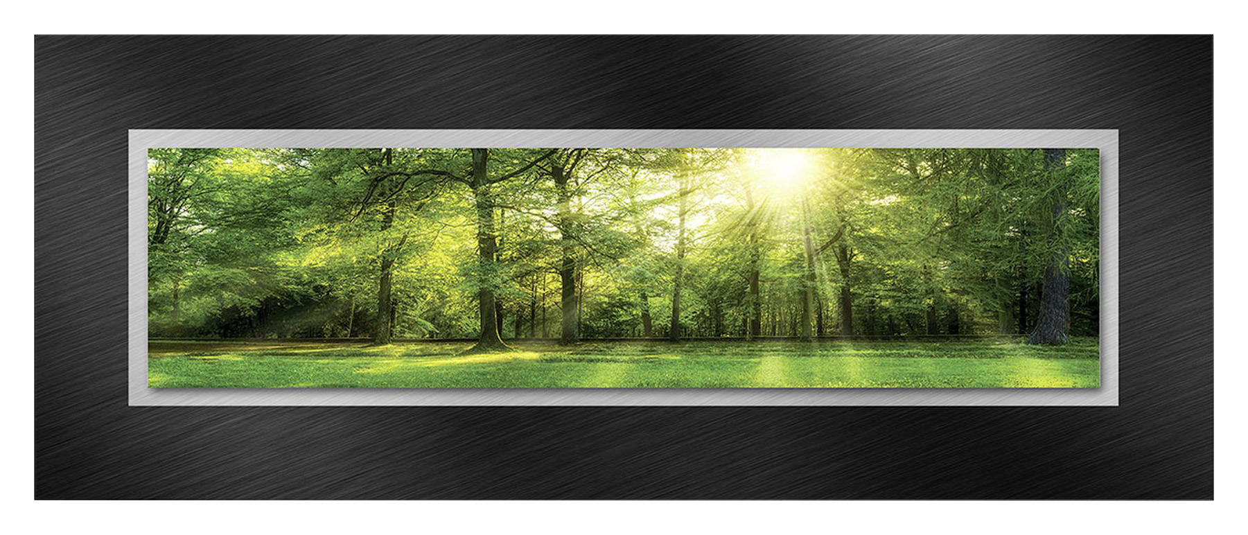 GLASBILD Bäume  - Multicolor, Design, Glas/Metall (50/125cm) - Euroart