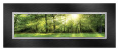 GLASBILD Bäume  - Multicolor, Design, Glas/Metall (50/125cm) - Euroart
