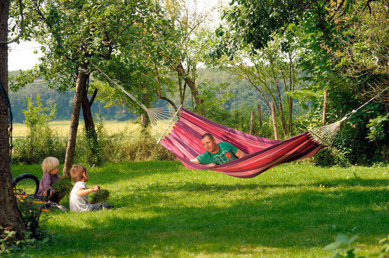 VISEĆA LEŽALJKA  drvo  tekstil  - pink/ružičasta, Konvencionalno, drvo/tekstil (100/310cm) - Ambia Garden