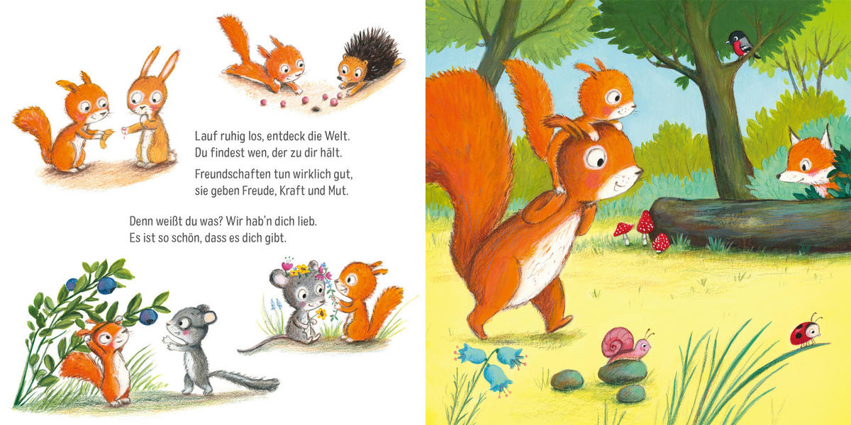 BUCH - Multicolor, Basics, Papier (18/18/1,2cm) - Carlsen