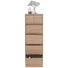KOMMODE 40/120/48 cm - Alufarben/Sonoma Eiche, Design, Holzwerkstoff/Kunststoff (40/120/48cm) - Carryhome KOMMODE 40/120/48 cm - Alufarben/Sonoma Eiche, Design, Holzwerkstoff/Kunststoff (40/120/48cm) - Carryhome
