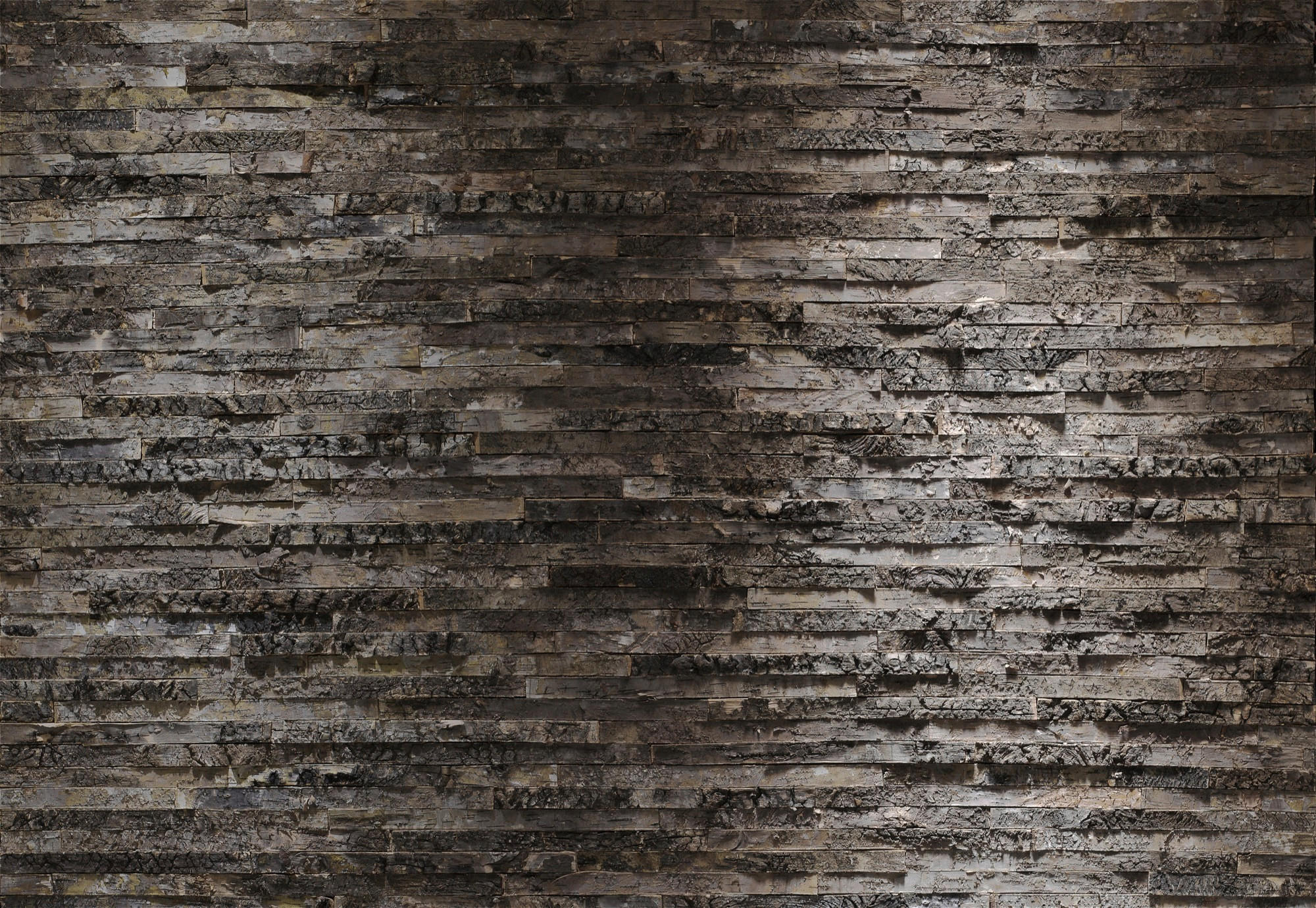 FOTOTAPETE Birkenrinde  - Braun/Grau, Natur, Papier (368/254cm) - Komar