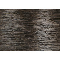 FOTOTAPETE Birkenrinde  - Braun/Grau, Natur, Papier (368/254cm) - Komar