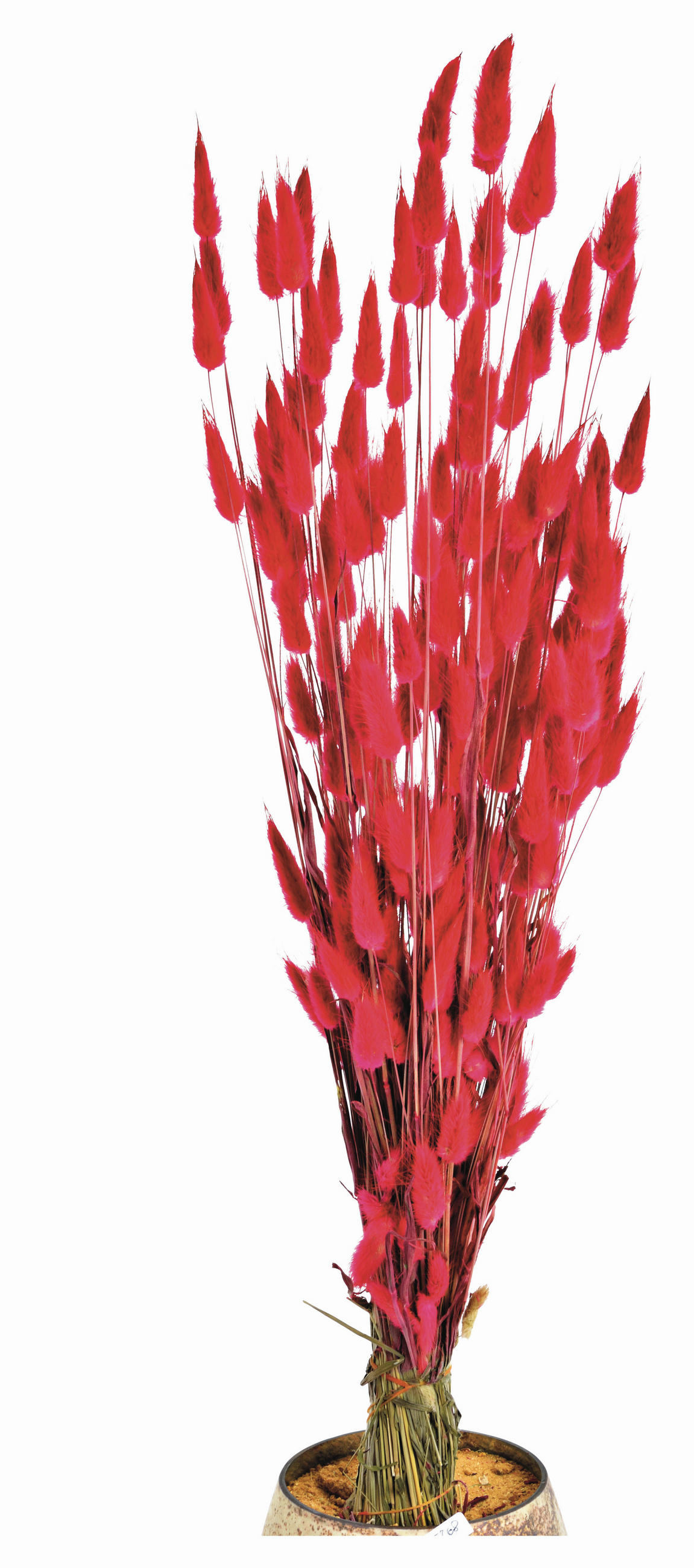 TROCKENBLUMENSTRAUSS  - Kirschrot, Basics, Naturmaterialien (50cm)