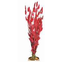TROCKENBLUMENSTRAUSS  - Kirschrot, Basics, Naturmaterialien (50cm)