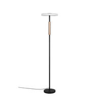 LED-STEHLEUCHTE Celeste 33/160 cm Modern  - Design (33/160cm) - Trio Leuchten