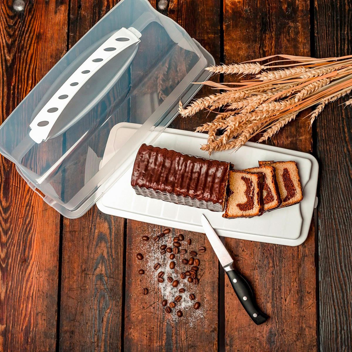 KUCHENTRANSPORTBOX - Transparent/Weiß, Basics, Kunststoff (36/16,5/16,5cm) - Rotho