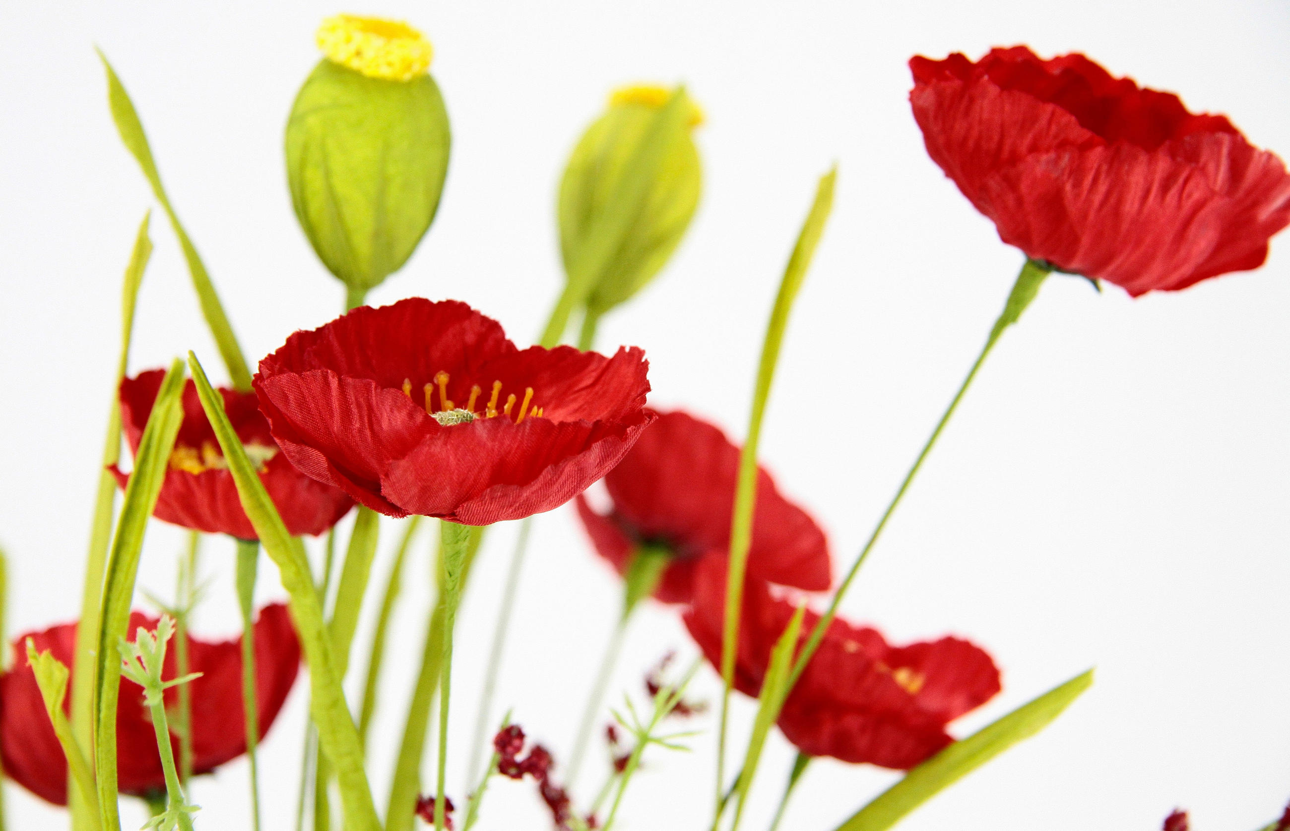 MOHN  - Rot, Basics (47cm)