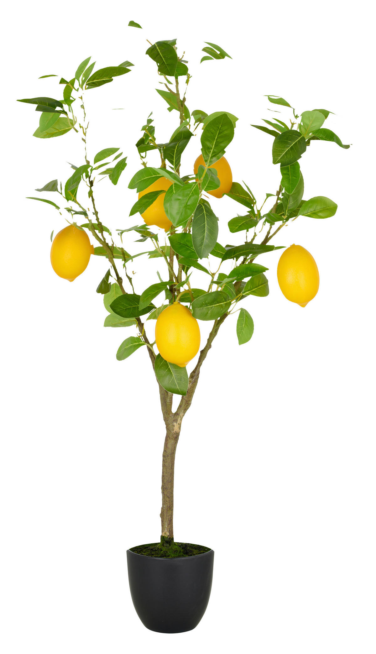 KUNSTPFLANZE  - Gelb/Braun, Basics, Kunststoff (21/90/21cm)