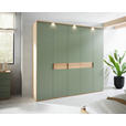 DREHTÜRENSCHRANK  in Eichefarben, Olivgrün  - Eichefarben/Anthrazit, Design, Holz/Holzwerkstoff (249,6/229,4/59,5cm) - Dieter Knoll