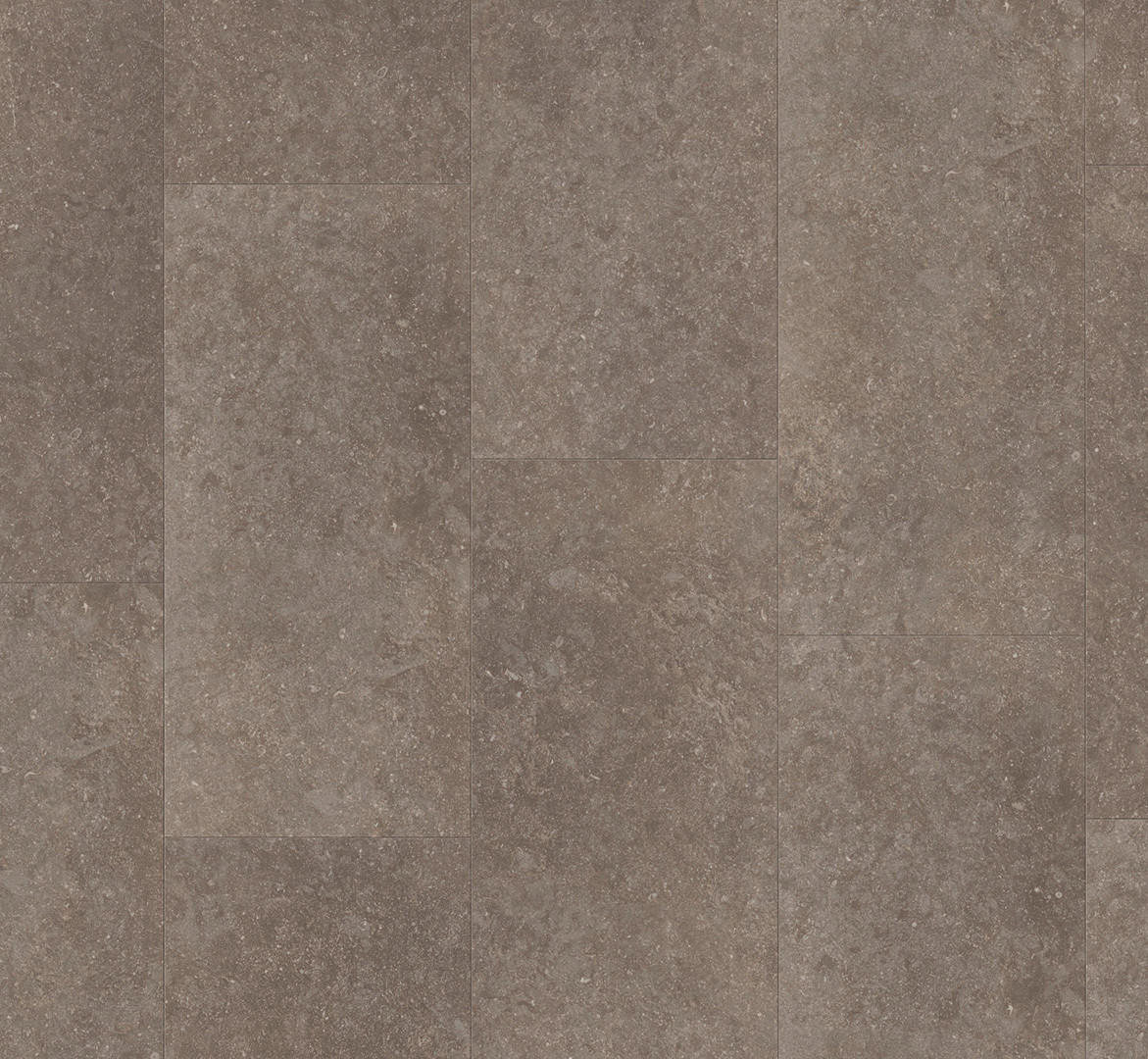 LAMINATBODEN Laminat Trendtime 5  per  m² - Basics, Holzwerkstoff (85.3/40/0.8cm) - Parador