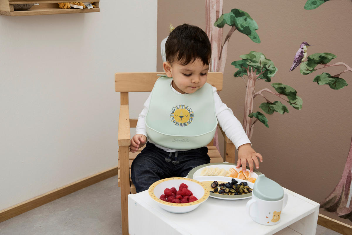 KINDERGESCHIRRSET Safari 5-teilig  - Multicolor, Basics, Kunststoff (23,5/25/10cm) - Sterntaler