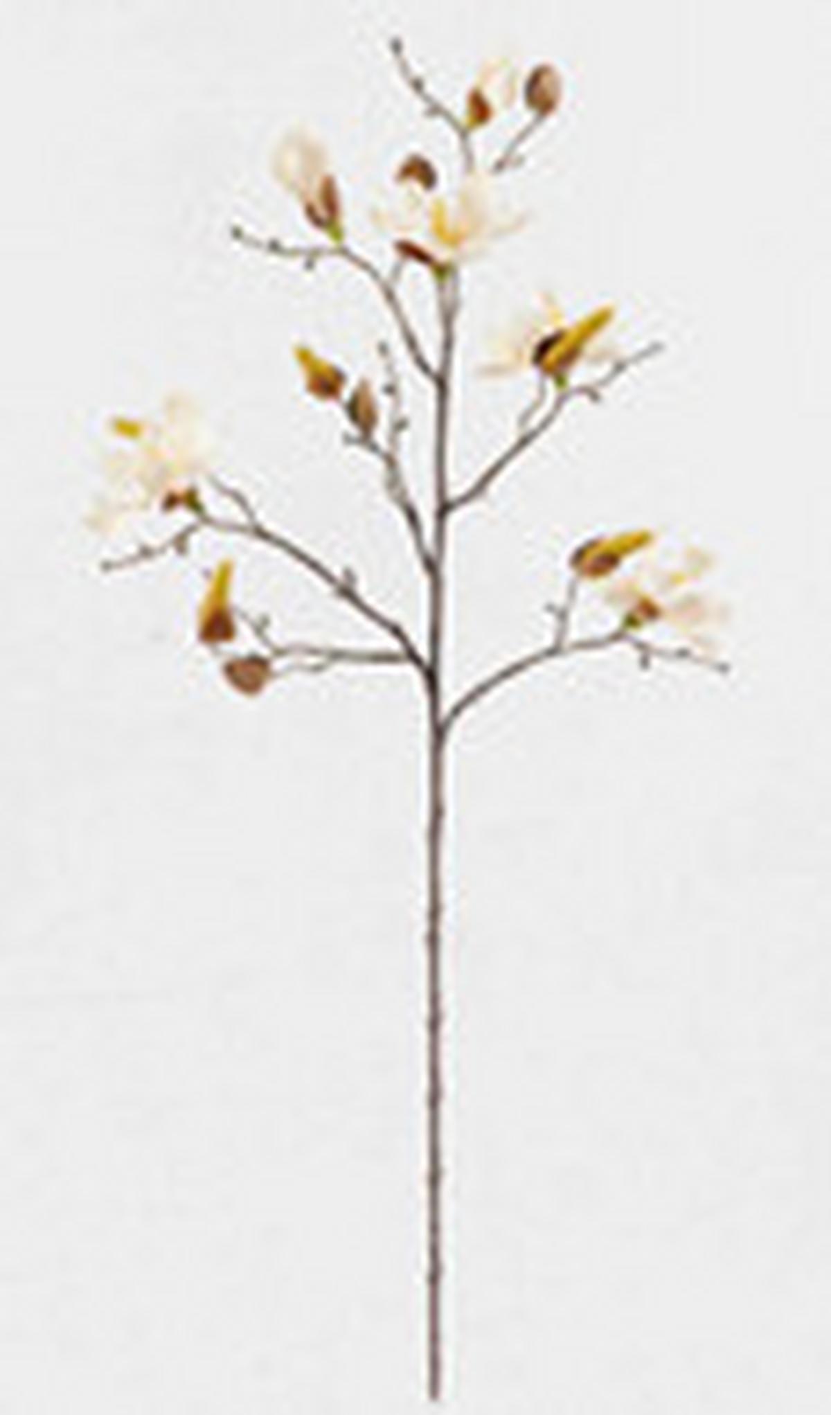 MŰNÖVÉNY - Pezsgő/zöld, Basics, műanyag