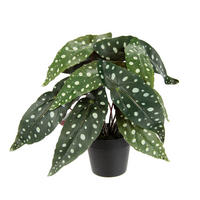 BEGONIENBUSCH  - Dunkelgrün, Basics, Kunststoff/Textil (30/26cm)