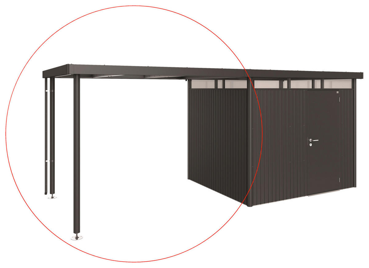 SEITENDACH 282/222/235 cm  - Dunkelgrau, Basics, Metall (282/222/235cm) - Biohort
