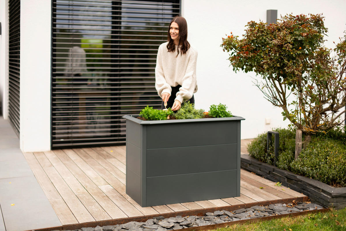 HOCHBEET Primus  - Anthrazit, KONVENTIONELL, Metall (50/100/77cm) - Ambia Garden
