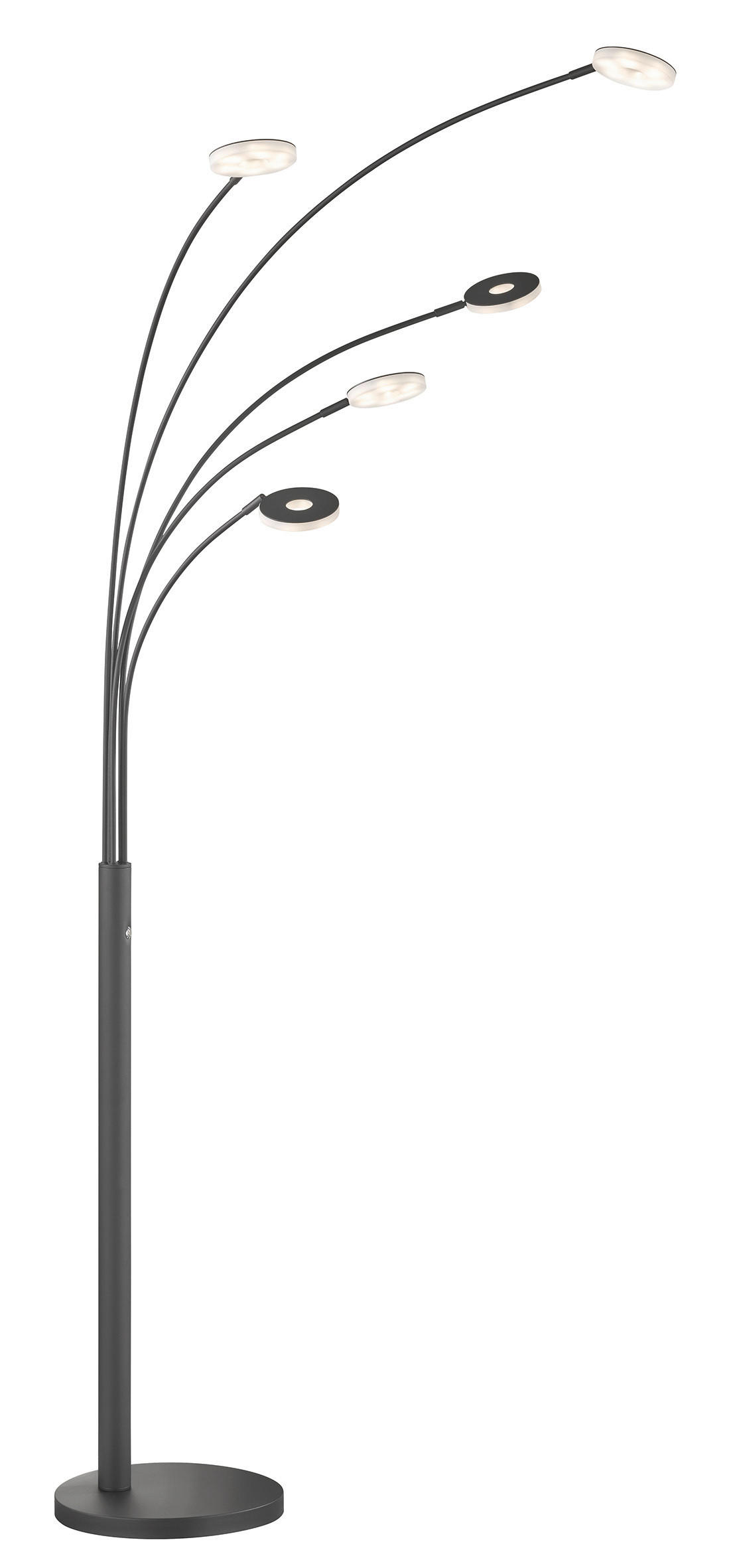 STOJACÍ LED SVÍTIDLO, 79/225 cm  - černá, Design, kov/sklo (79/225cm) - Fischer & Honsel