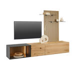 WOHNWAND 3-teilig  in Anthrazit, Eichefarben  261/160/50 cm  - Eichefarben/Anthrazit, Design, Glas/Holz (261/160/50cm) - Dieter Knoll