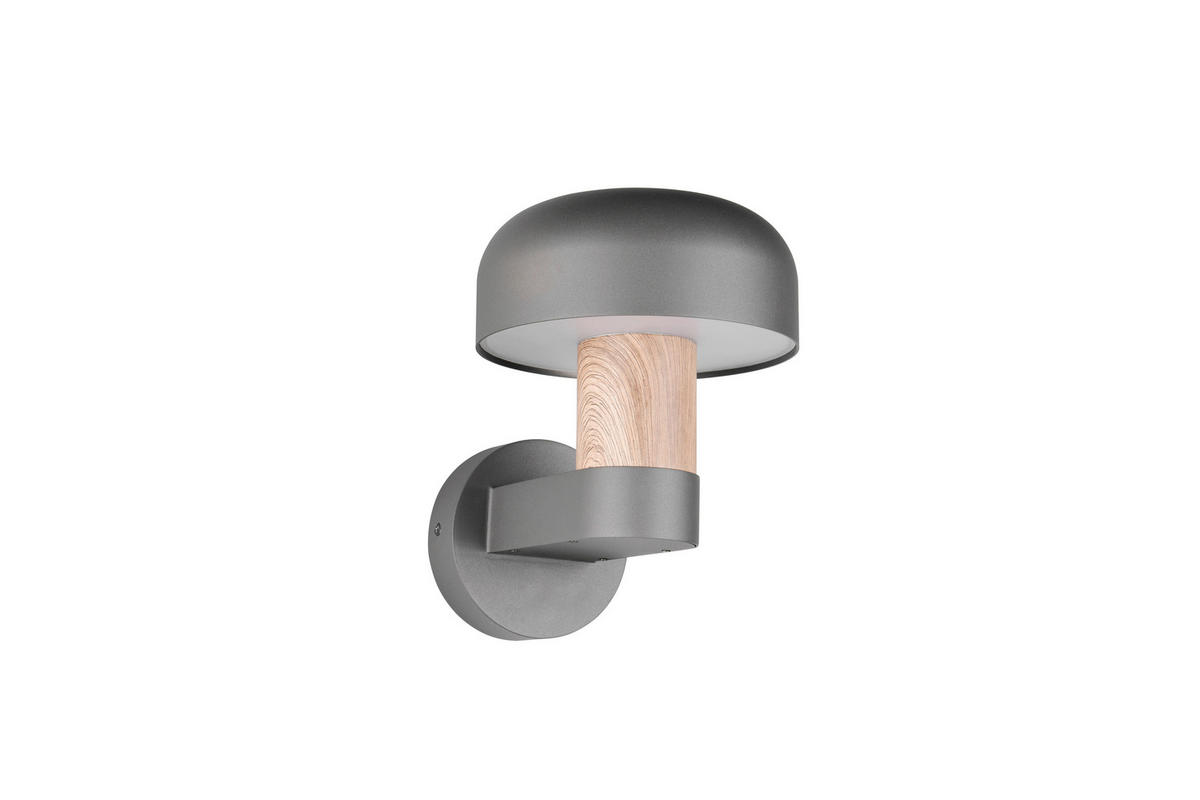 AUSSENWANDLEUCHTE - Anthrazit/Braun, Design, Metall (19/24,5/25cm) - Trio Leuchten