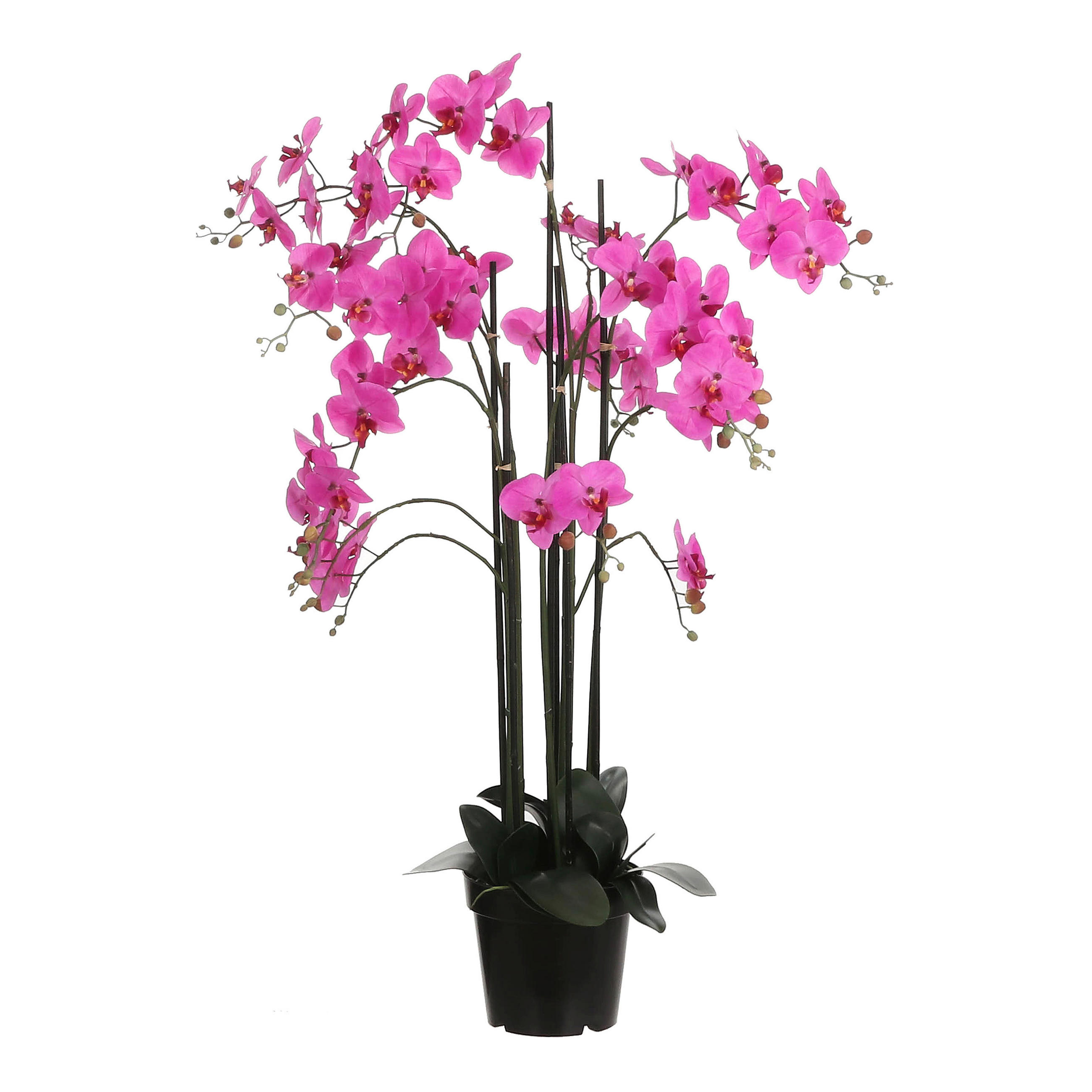 ORCHIDEA - lila, Basics, műanyag (35/117cm)