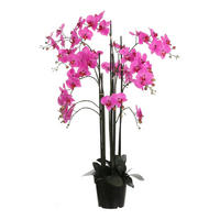 ORCHIDEA - lila, Basics, műanyag (35/117cm)